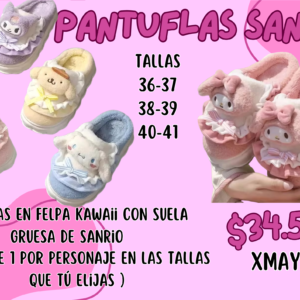 Colección de 5 pantuflas