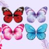 Mariposa para flores